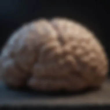 Brain Activity in Deep Sleep The intricate brain waves during deep sleep