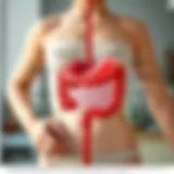Illustration of a digestive system highlighting common bloating triggers