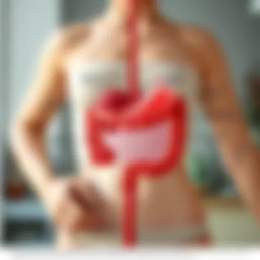 Illustration of a digestive system highlighting common bloating triggers