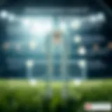 Common Causes of Frequent Urination An infographic showing common causes of frequent urination