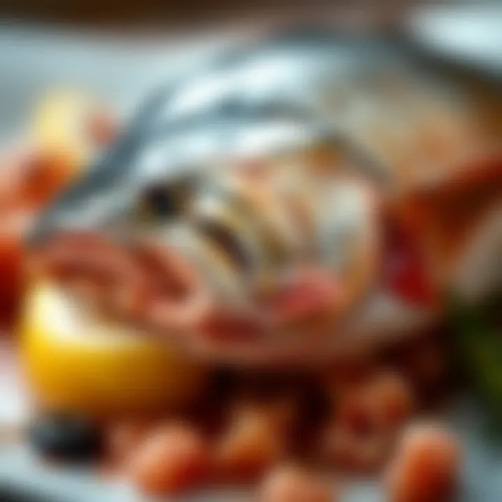 Fish illustrating omega-3 fatty acids