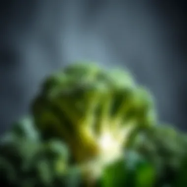 Nutritional Benefits of Broccoli Close-up of broccoli with nutritional highlights