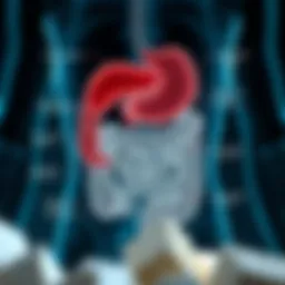 Diagram illustrating the digestive process affected by lactose intolerance