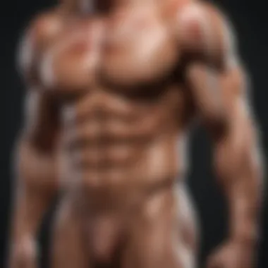 Muscle Anatomy and Twitch Responses Illustration of muscle anatomy highlighting twitch responses