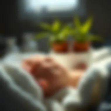 Natural Remedies for Nightly Itching Natural remedies for skin relief