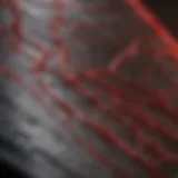 Visual representation of heart rhythm patterns