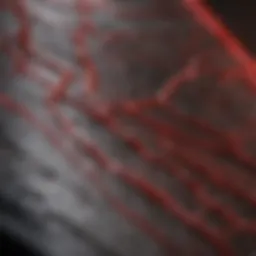 Visual representation of heart rhythm patterns