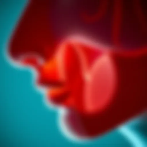 Anatomical diagram of nasal passages