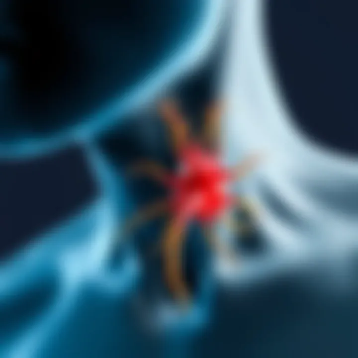 Graphic representation of sweat glands and their function