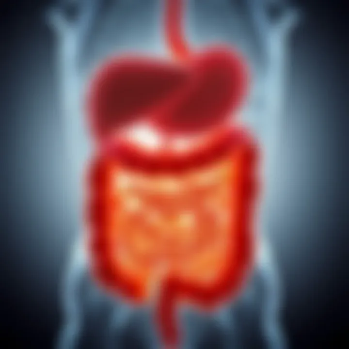 Illustration of digestive tract highlighting gas buildup