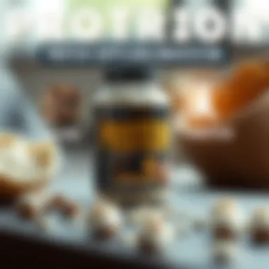 Understanding Protein Supplementation Infographic on protein supplementation and its effects