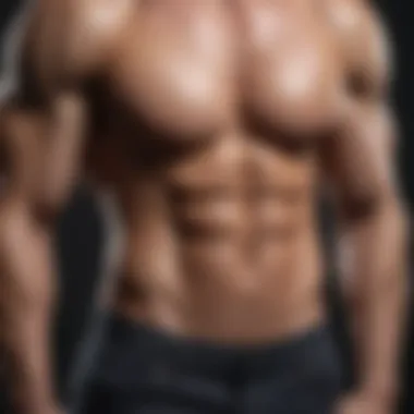 Understanding Abdominal Muscle Groups Visual representation of various abdominal muscle groups