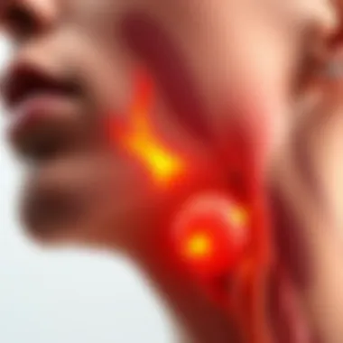 Throat Anatomy and Burning Sensation Illustration of throat anatomy highlighting areas prone to burning sensations