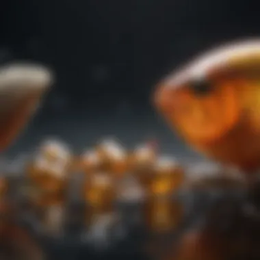 Understanding the Composition of Fish Oil Vitamins Summary Understanding the Composition of Fish Oil Vitamins Summary