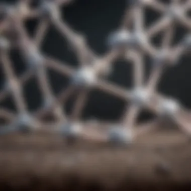 Understanding the Molecular Structure of Whey Protein Molecular structure of whey protein