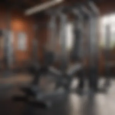 Ab Workout Machine in Action Front view of an ab workout machine in a gym setting