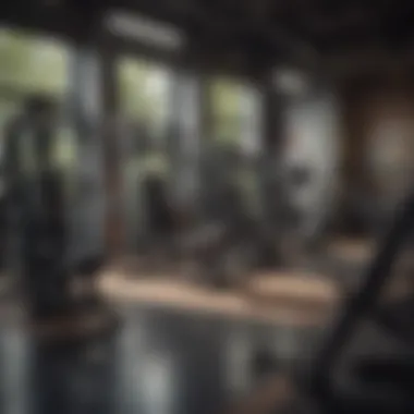 Diverse Ab Workout Machines Variety of ab workout machines displayed in a fitness center