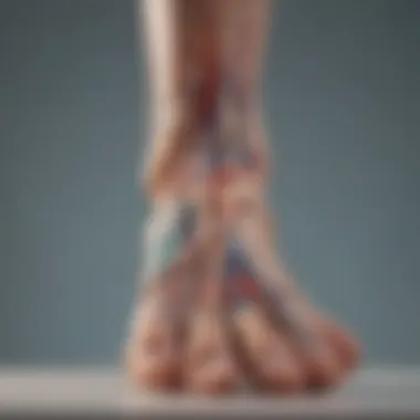 Nervous System Connection in Feet An anatomical illustration showing nerves in the foot and their connection to the toes.