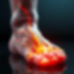 Illustration depicting the anatomy of the foot highlighting toe nerves