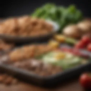 The Role of Macronutrients in Diet Visual representation of macronutrient balance