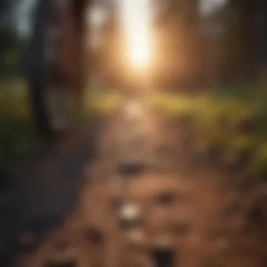 Embracing New Opportunities A vibrant sunrise casting light on a trail, symbolizing new beginnings