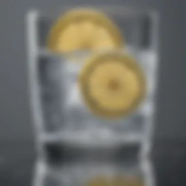 Refreshing glass of water with lemon slices